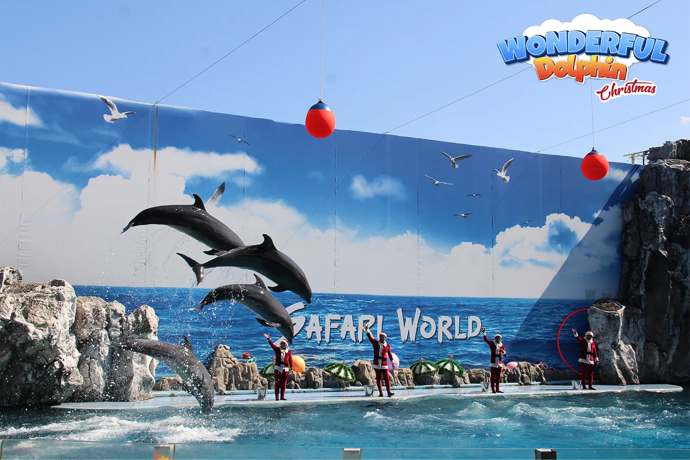 The dolphin show in the main pool