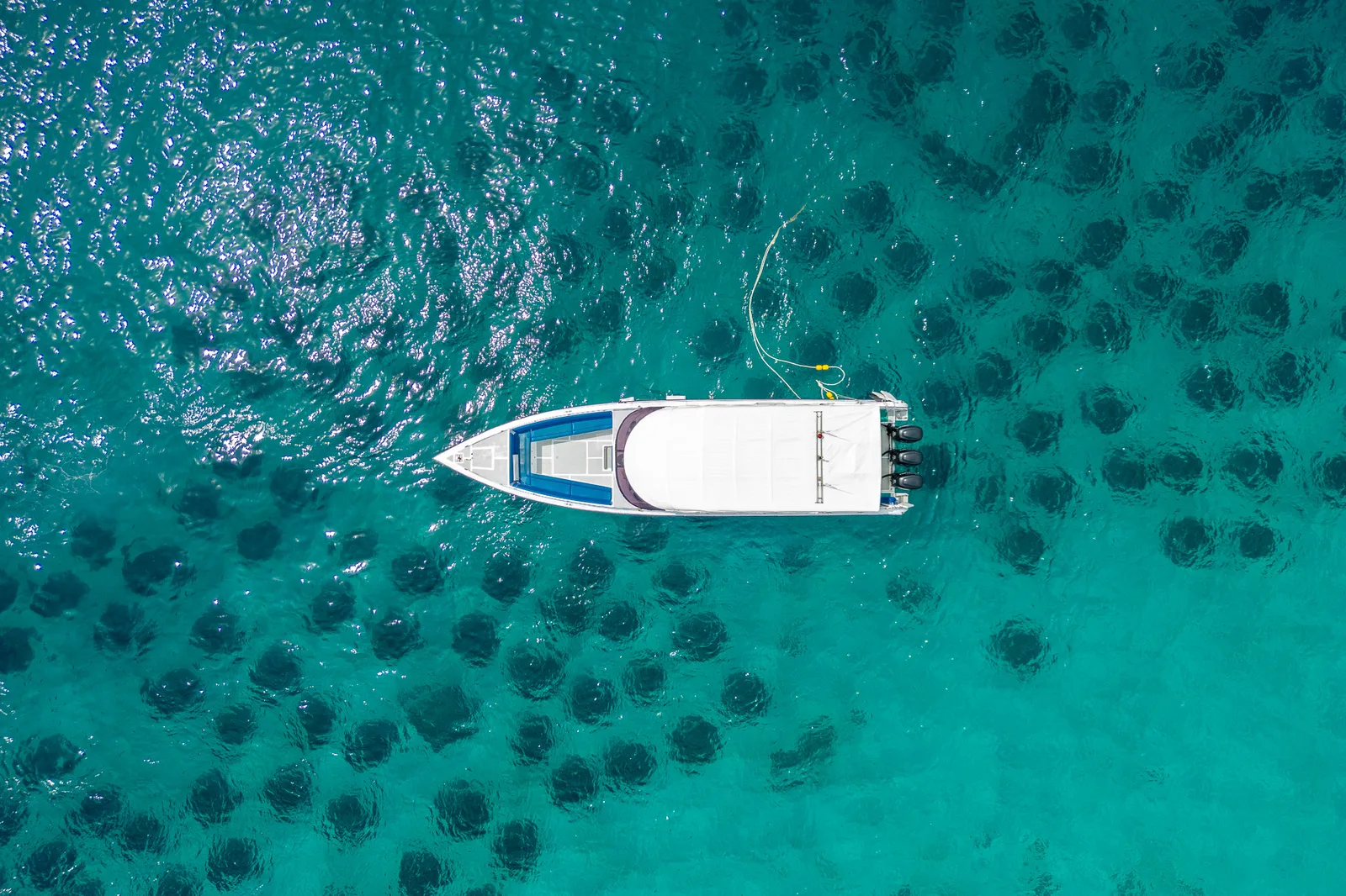 The coral reef through the clear water