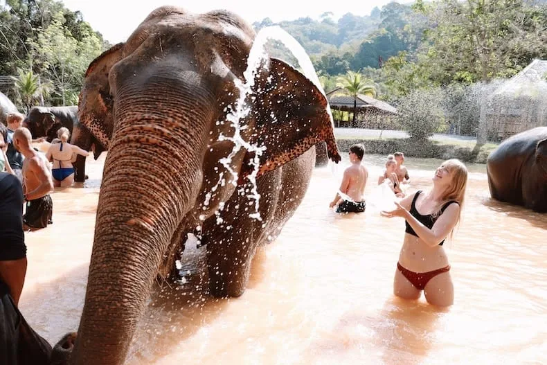 Elephant bathing in the river