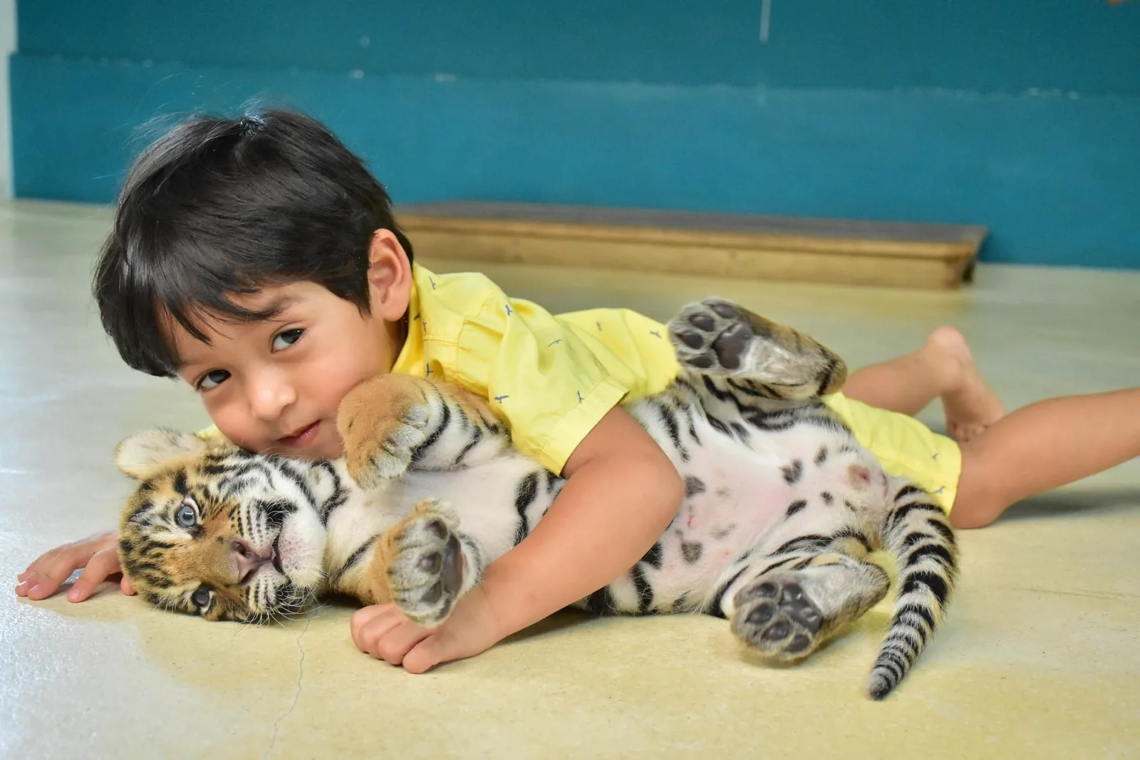 Photo with a small tiger