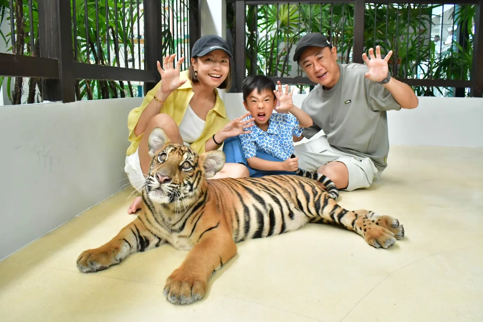 Photo with a big tiger