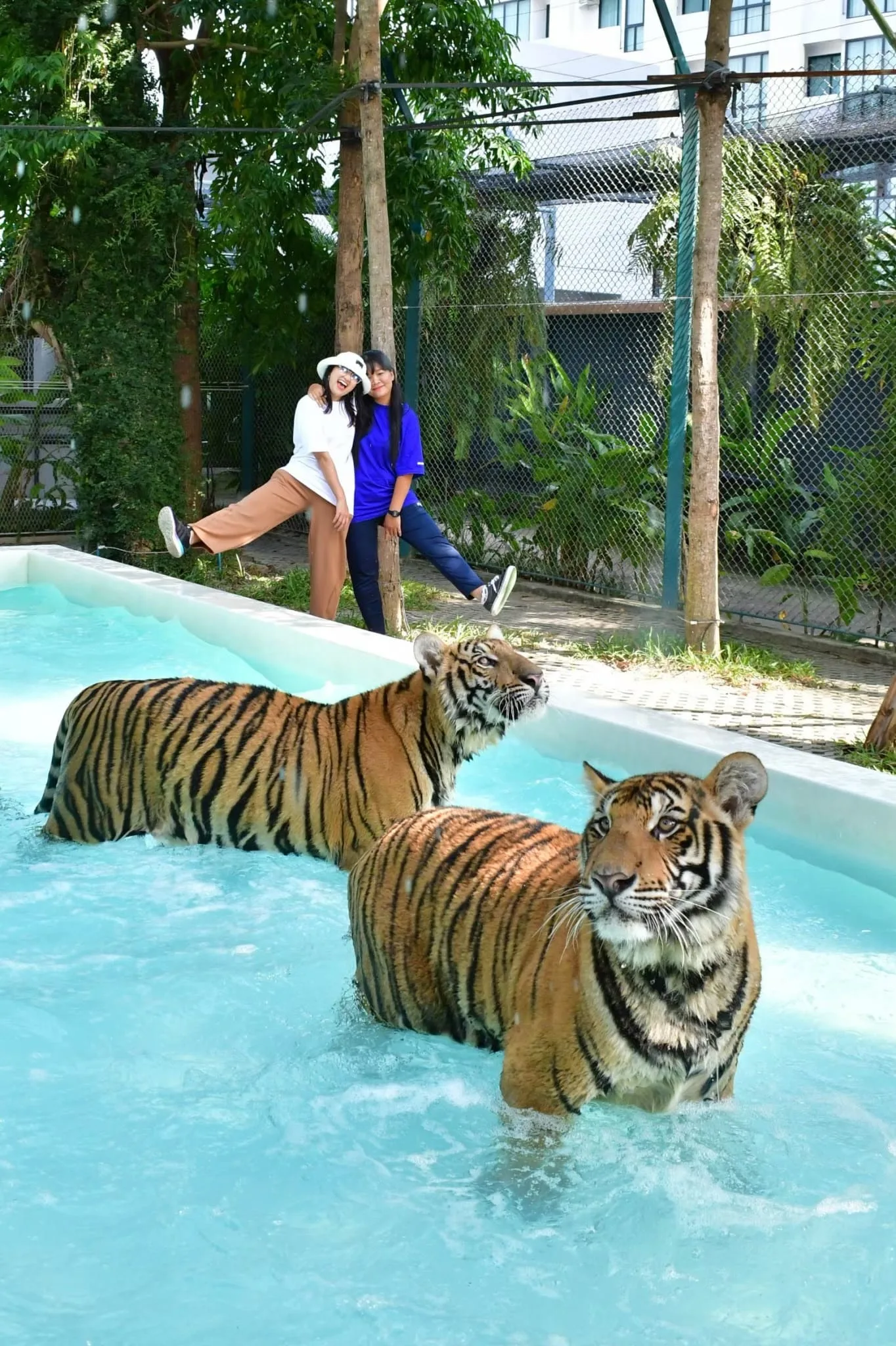 Family photo with a tiger