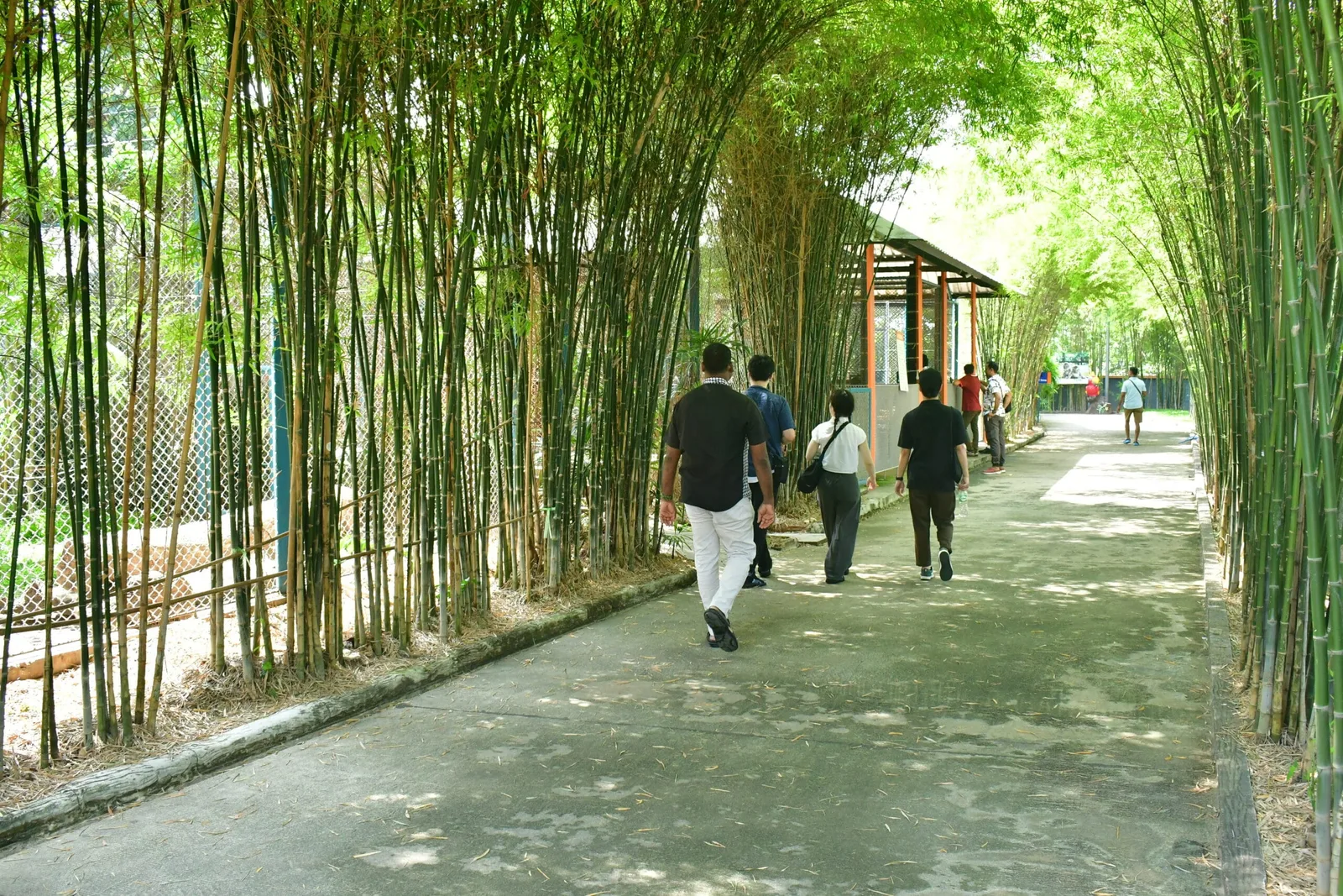 A tour of the park