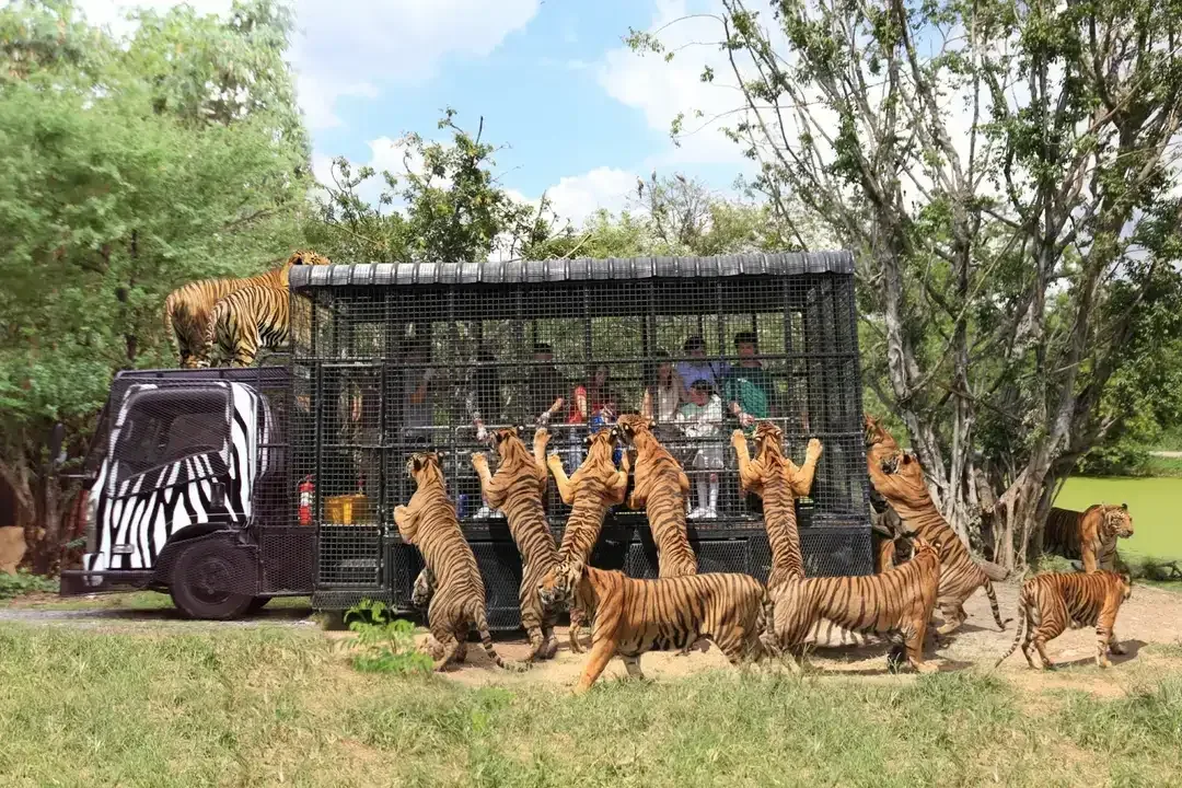 Safari World - עולם הספארי