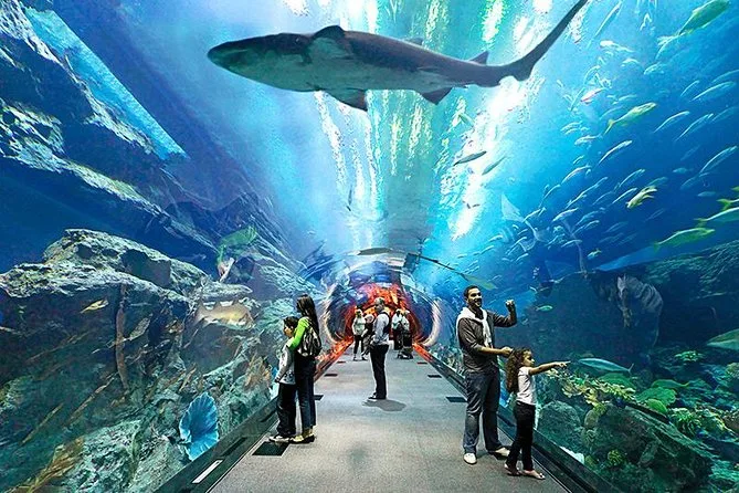 מבקרים במנהרת הזכוכית של Underwater World פטאיה