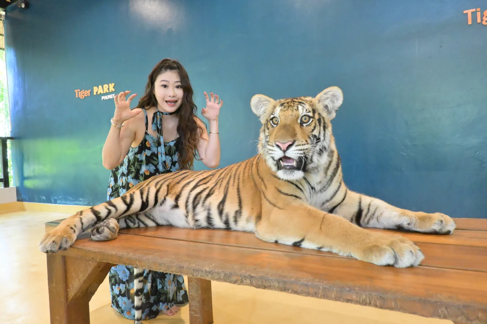 A traveler taking a photo next to a tiger at the tiger encounter in Phuket