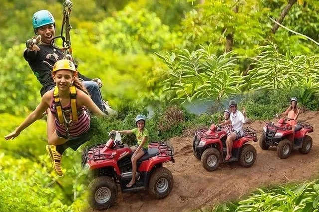 טרקטורונים אומגות ופילים