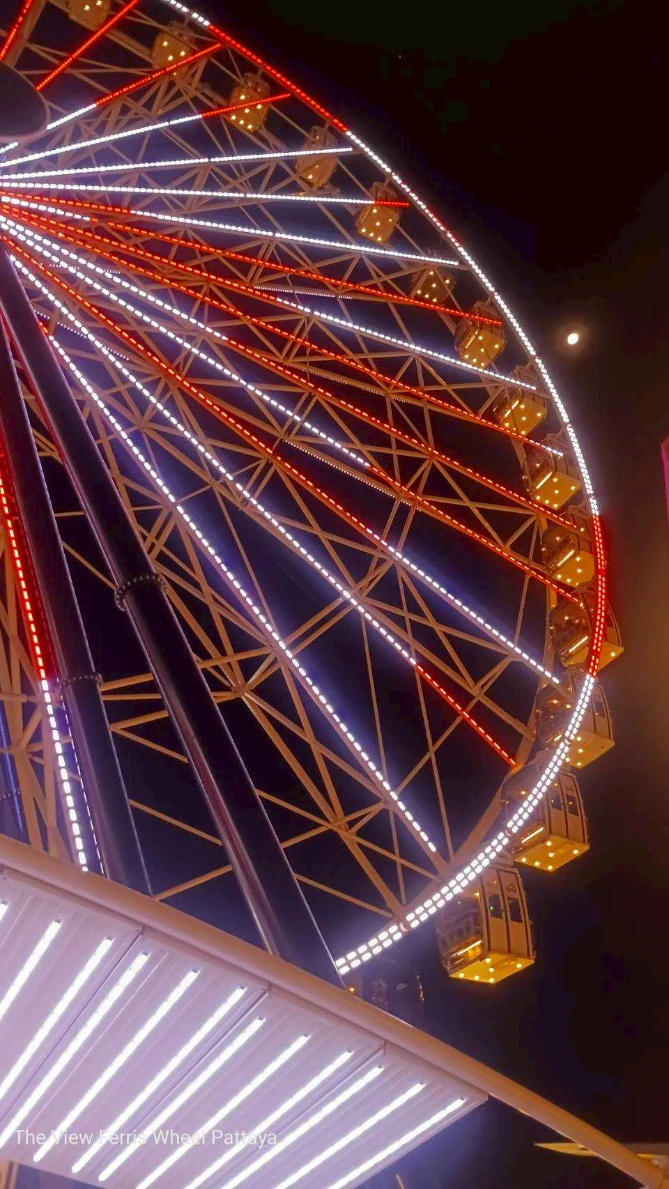שלד הגלגל מקרוב
