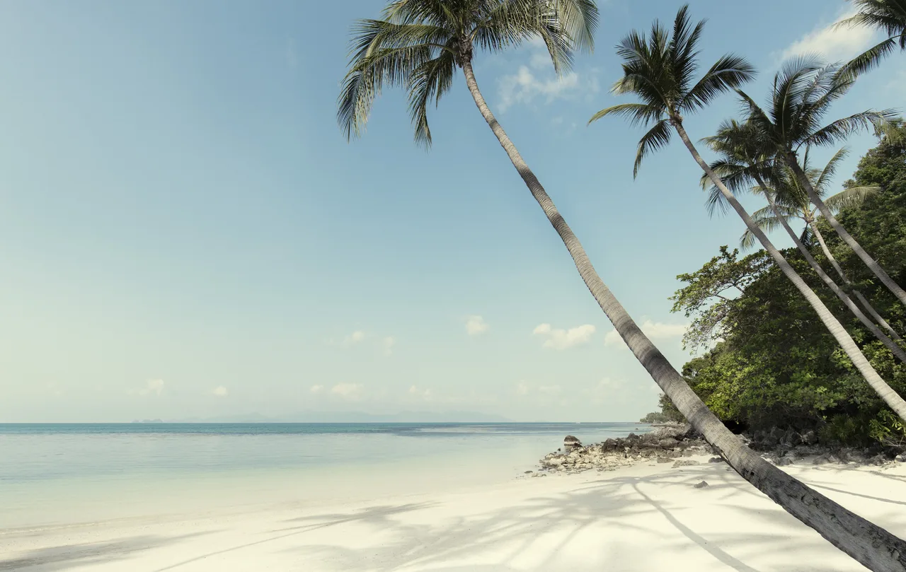 Beach Villa with Pool — فيلا شاطئية بمسبح