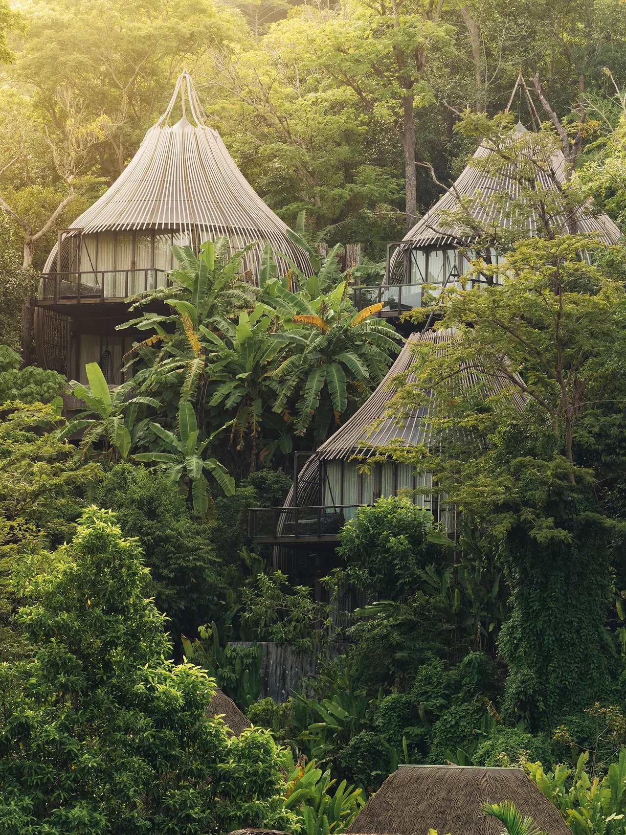 Tree Pool Houses