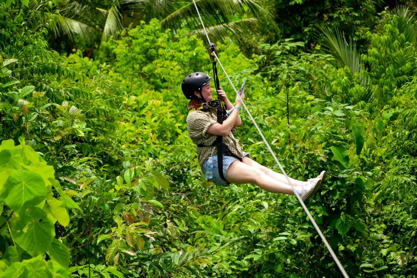 Zipline gliding through dense vegetation