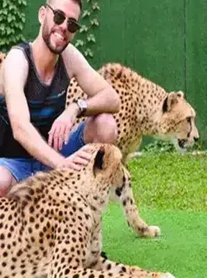 زائر يداعب تشيتاين على العشب