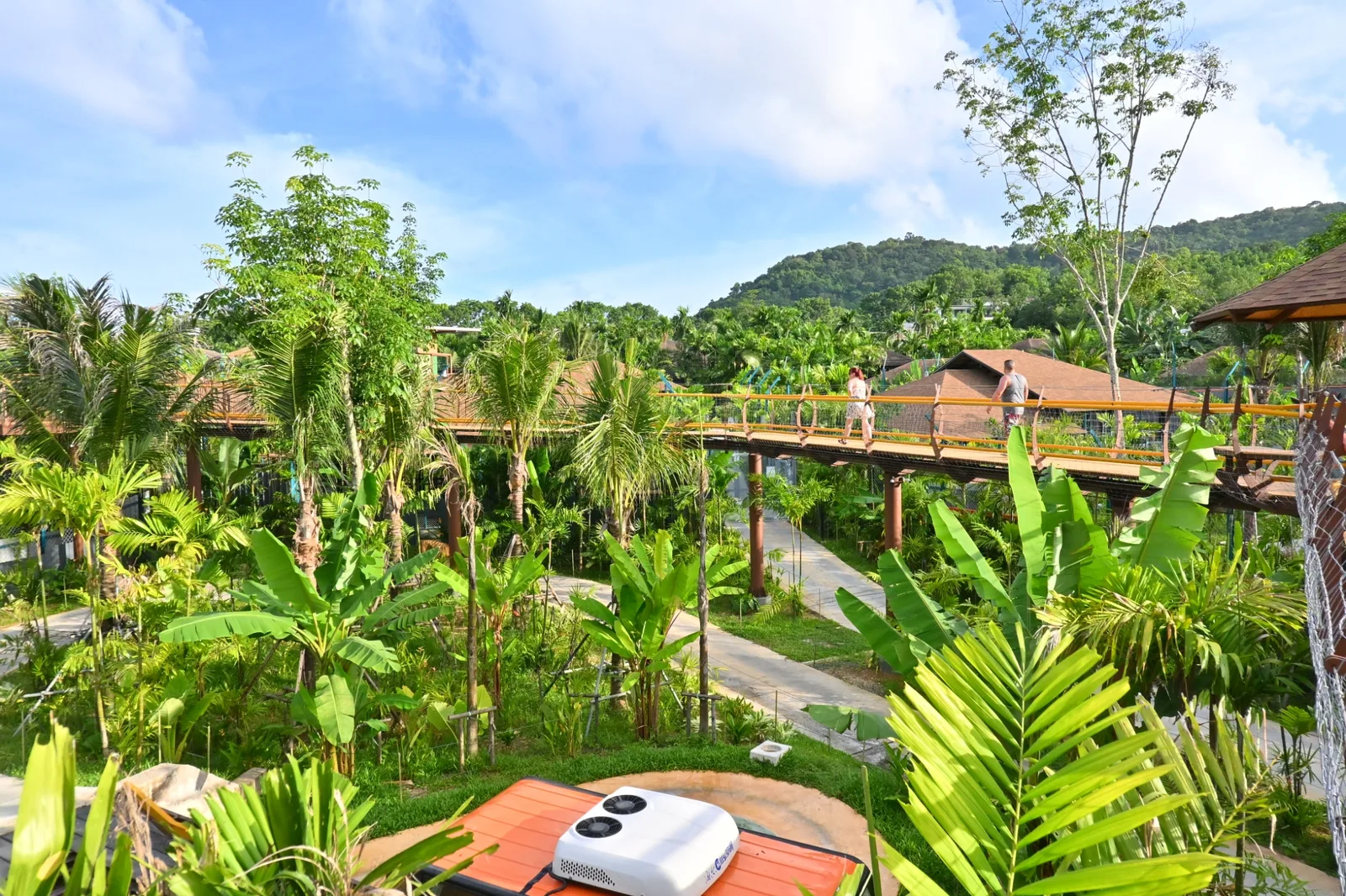 The Canopy Sky Walk path above the greenery at Tiger Park Phuket