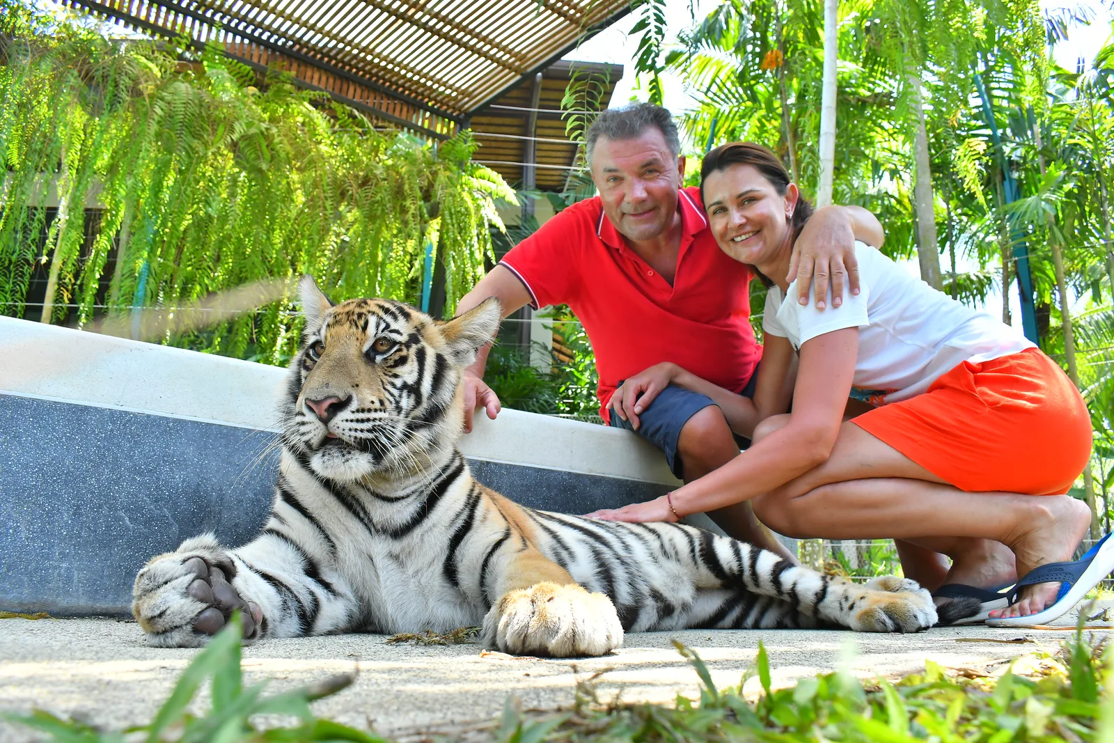A couple of visitors beside a tiger