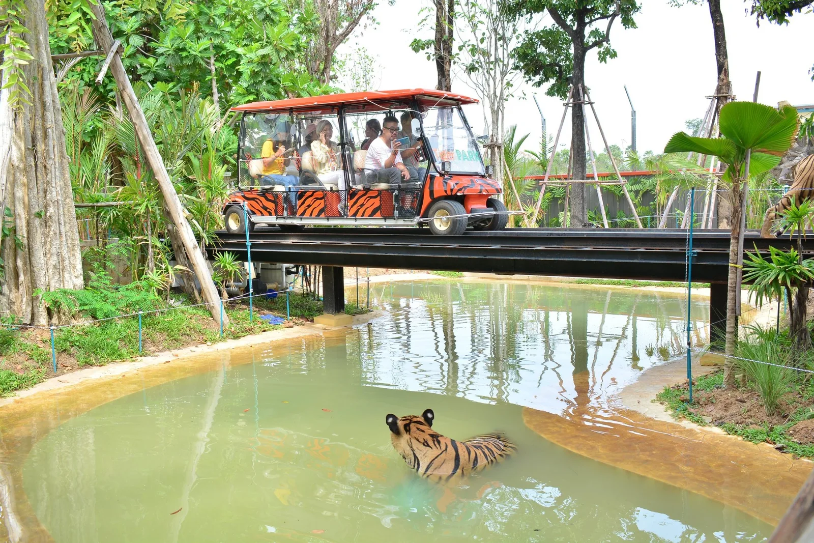 The Forest Safari vehicle crossing a bridge over the tiger pool