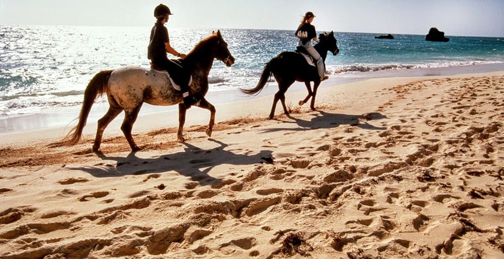 רכיבה על סוסים