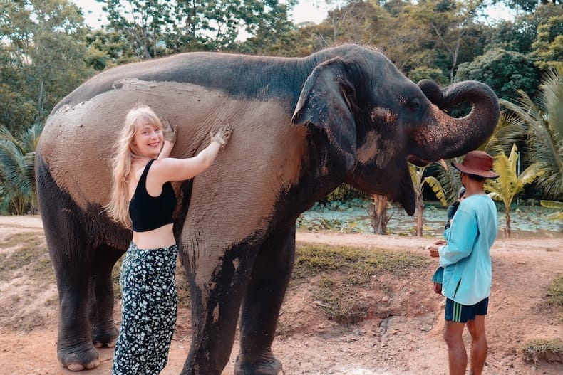 חוות פילים שיקומית