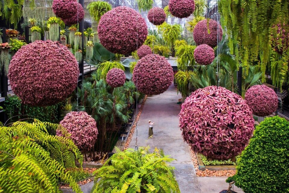 מבט על הגנים הטרופיים נונג נוץ'