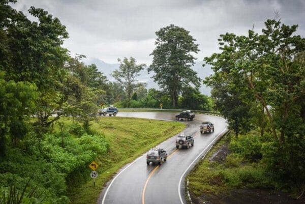 שבט ארוכות הצוואר
