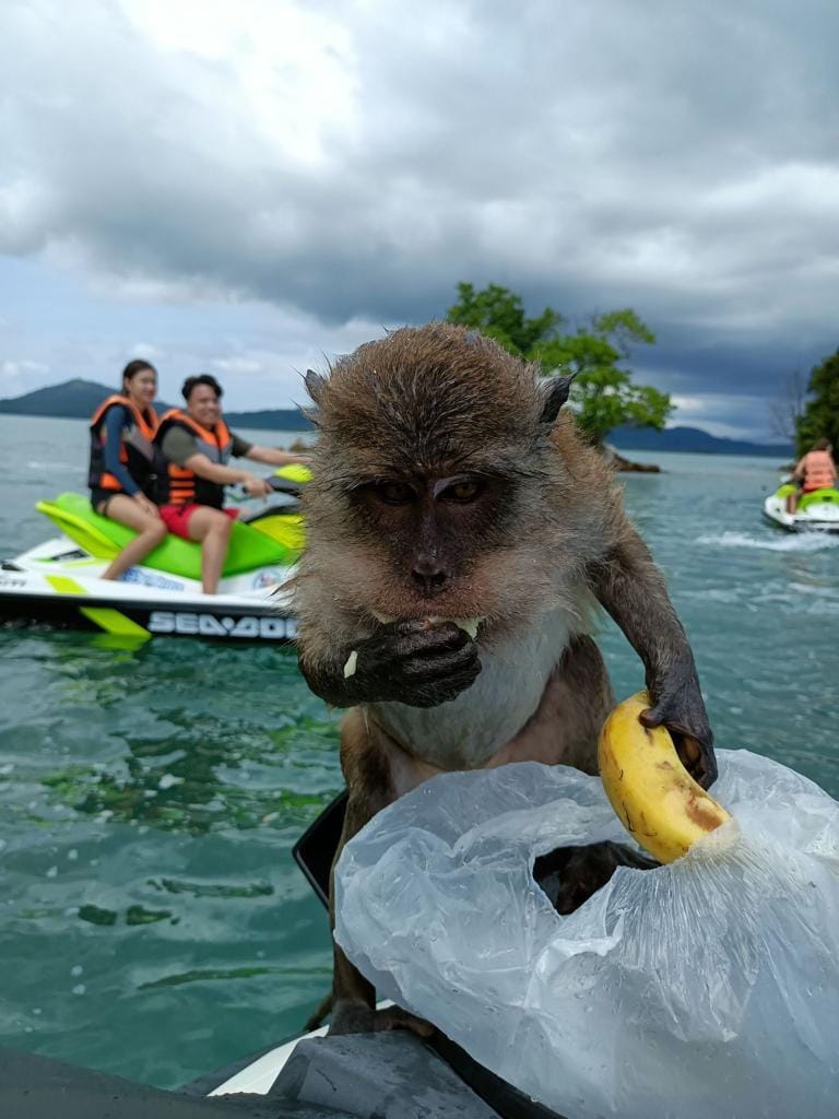 ארוחה באי נאקה