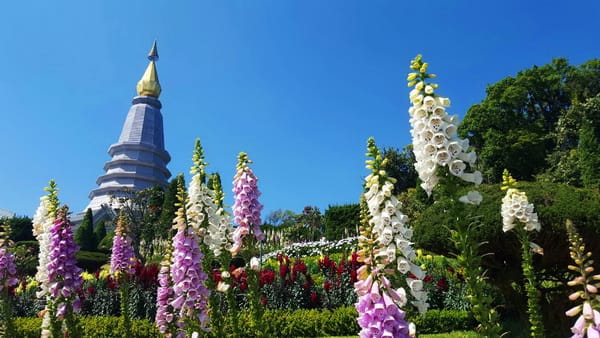 פגודות המלך והמלכה