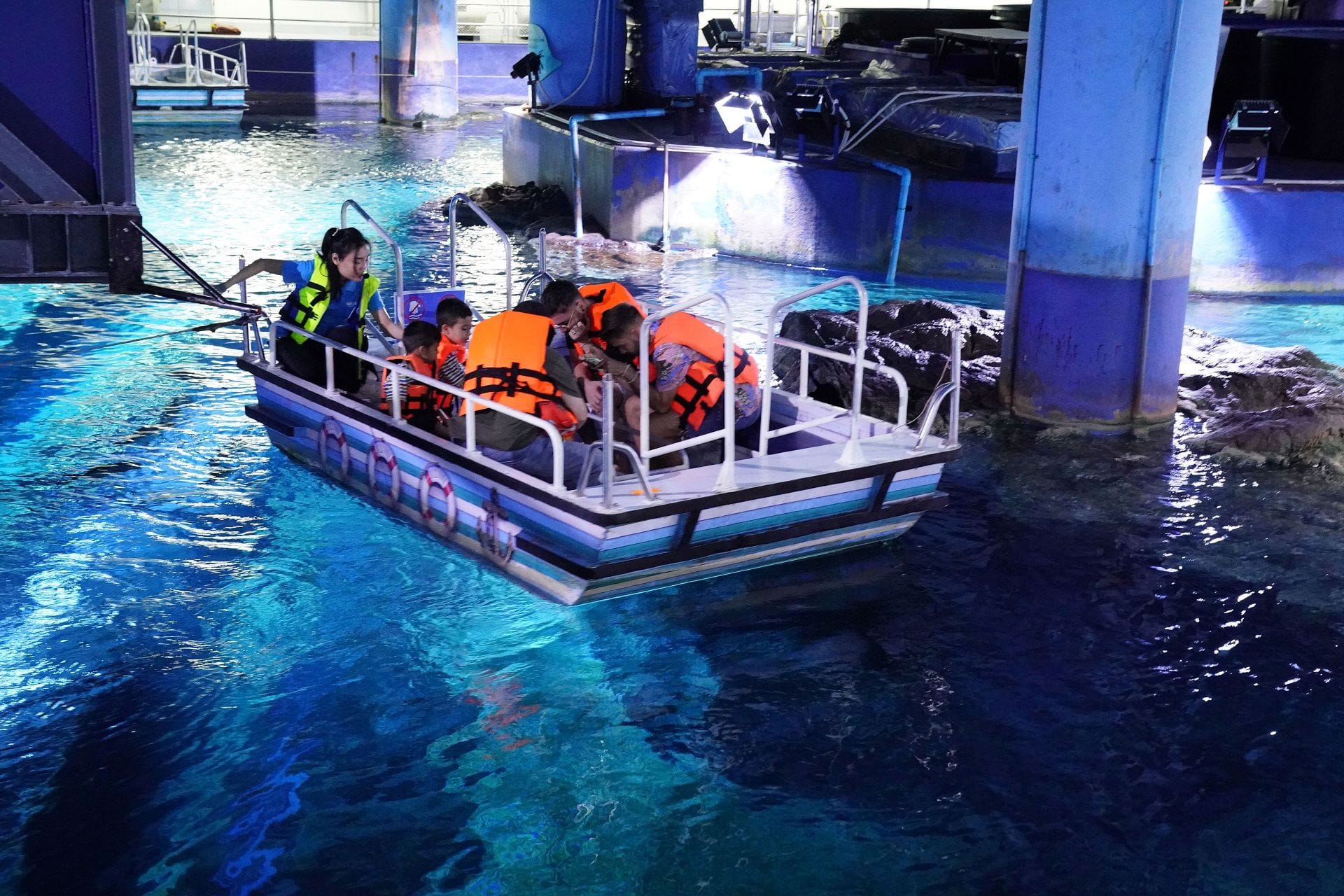 בריכת מגע ב-Sea Life