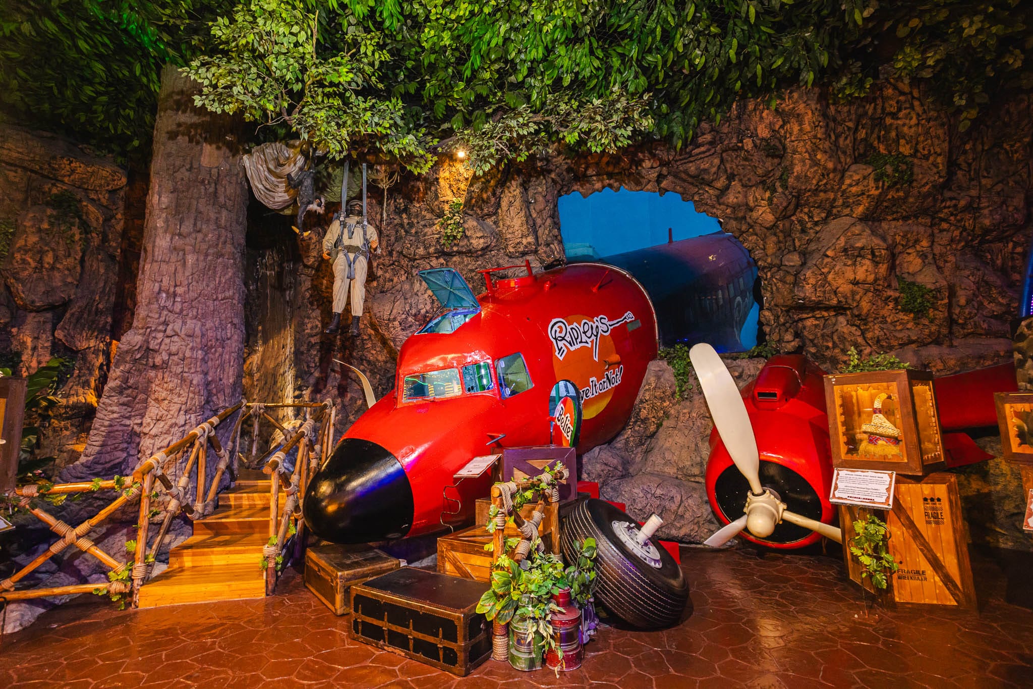 כניסה ל-Ripley's Believe It or Not! פטאיה