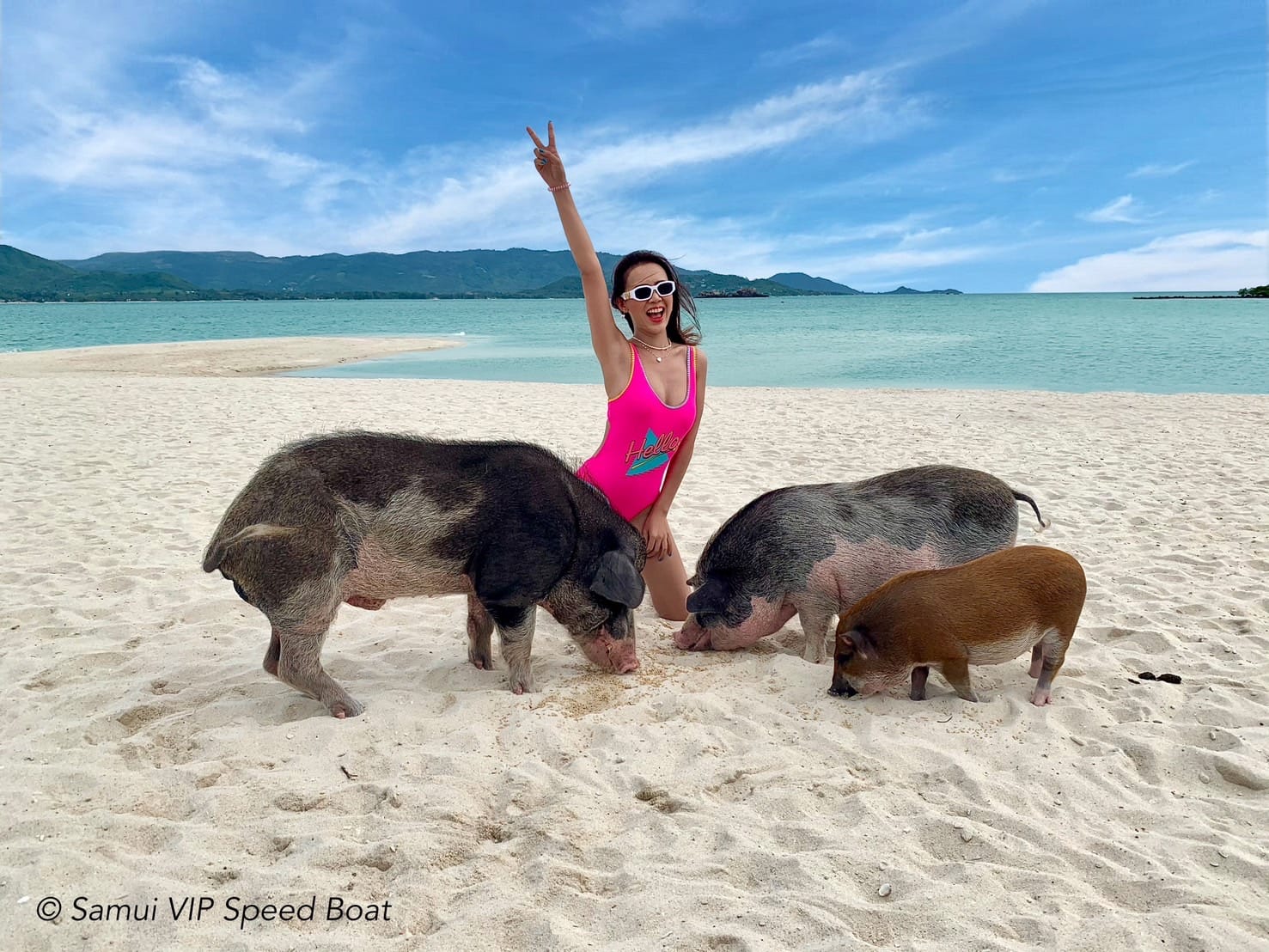 אי החזירים קוסמוי