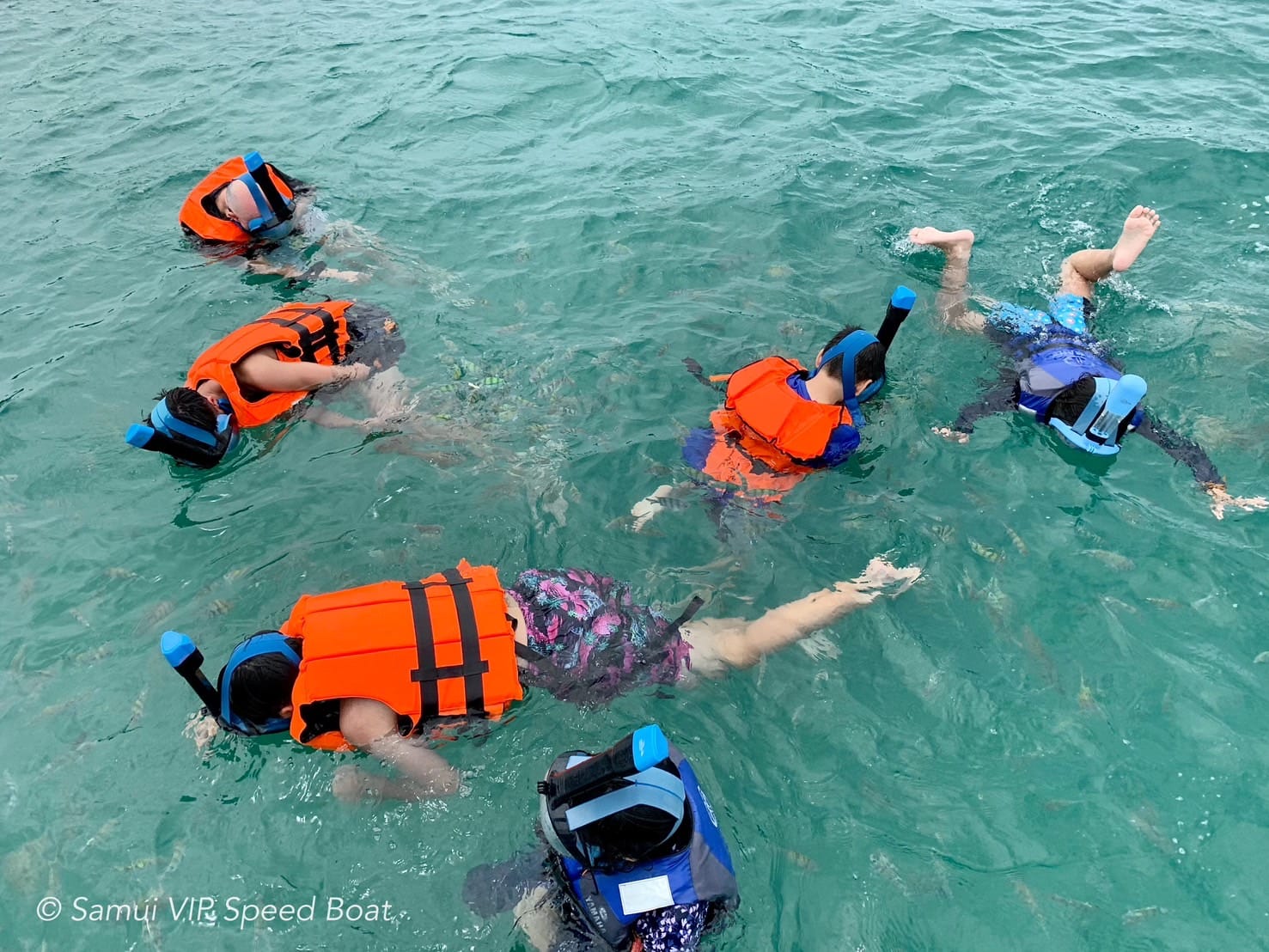 שנורקלינג ליד קוסמוי