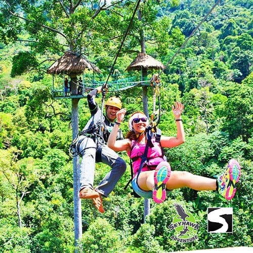 פלטפורמת עץ לזיפליין